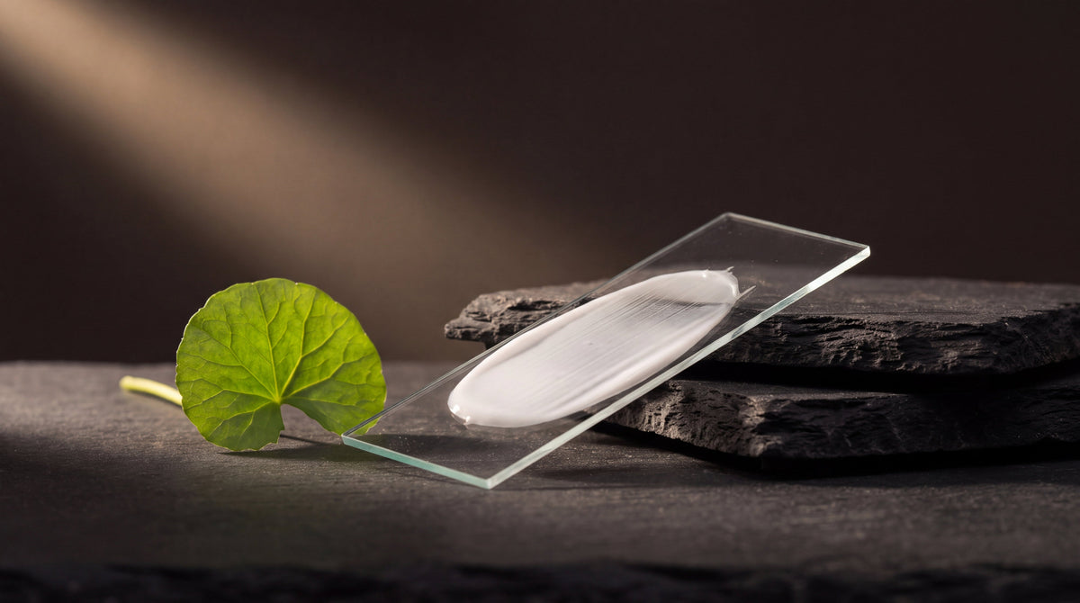 A thin smear of lotion on a glass slide beside a fresh gotu kola leaf on dark slate, the science of tattoo recovery