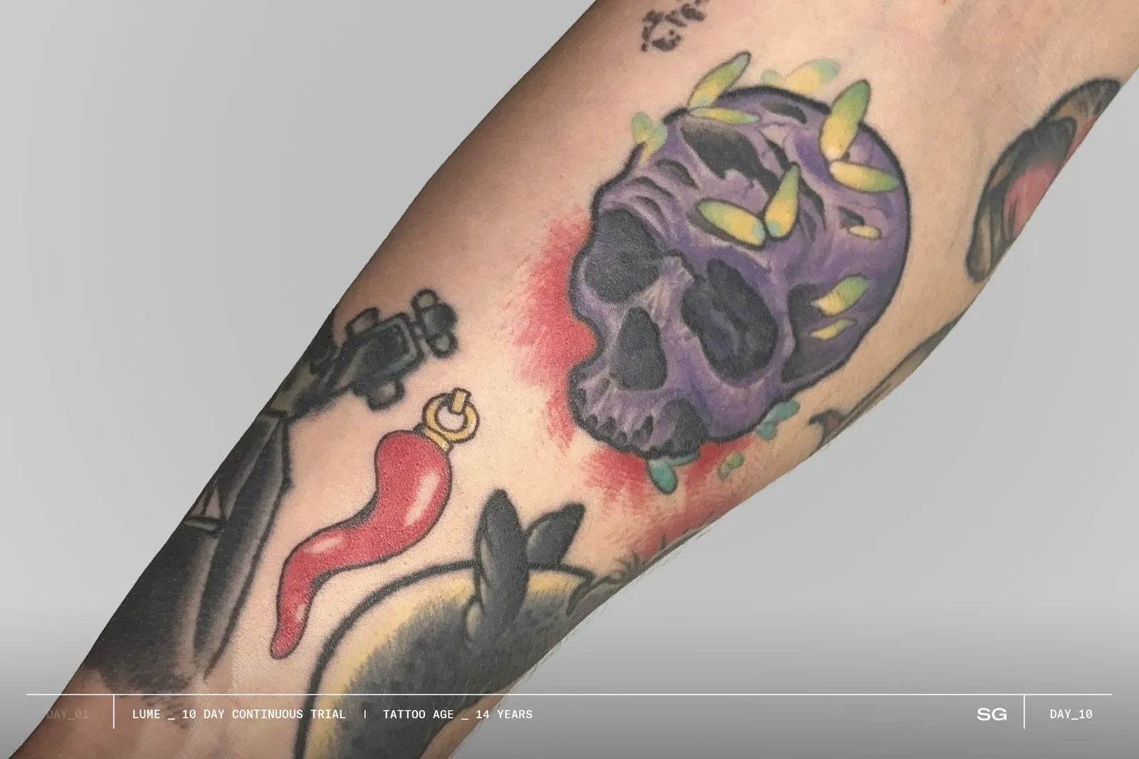 Farbiges Motiv mit Totenkopf und Chili am Unterarm, Tag 10